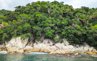 Playa Majahuitas Puerto Vallarta Catamarans