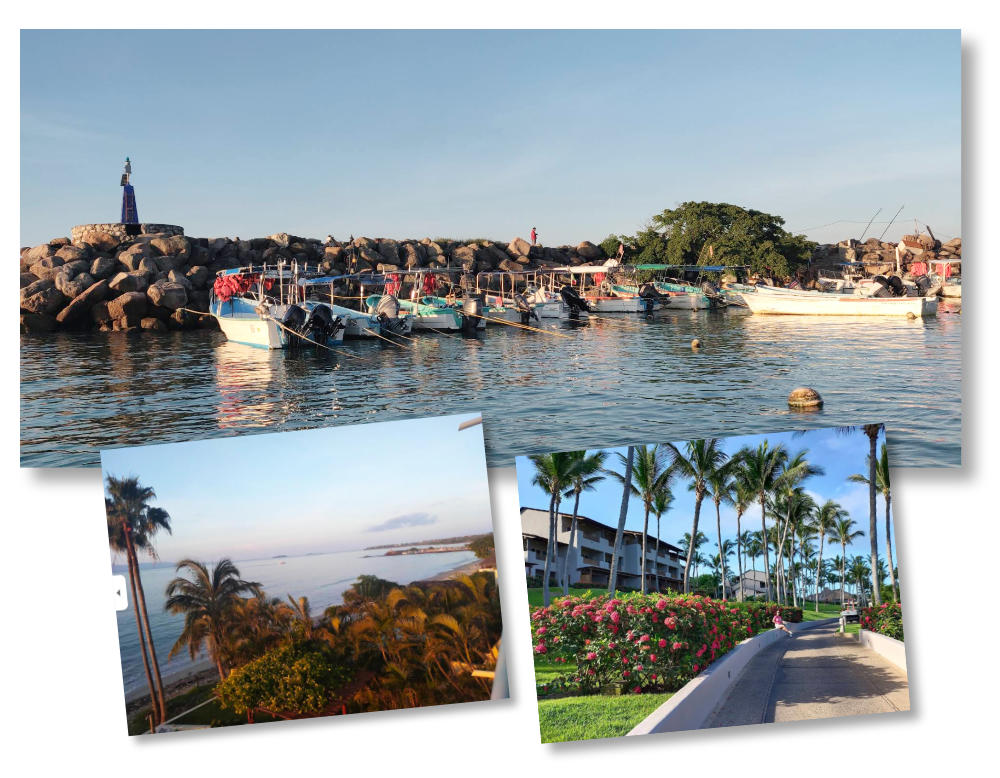 punta mita